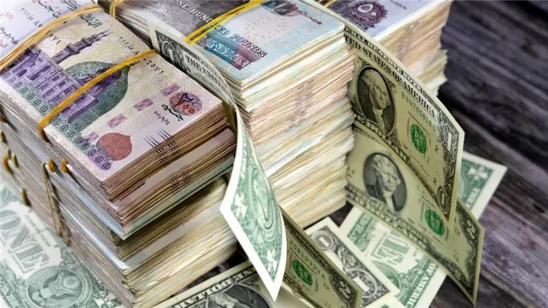 هل كل زيادة في المال ربا؟.. دار الإفتاء توضح الحقيقة