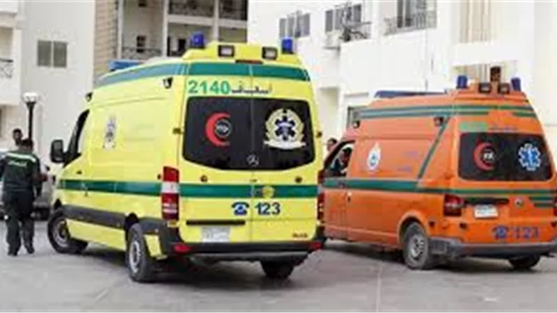 إصابة 5 أشخاص في تصادم ميني باص مدرسة وربع نقل بالعجوزة