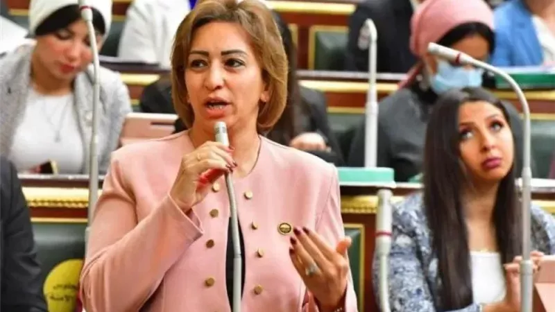   النائبة مها عبد الناصر بمؤتمر المحامين: المادة 105 مخالفة للدستور