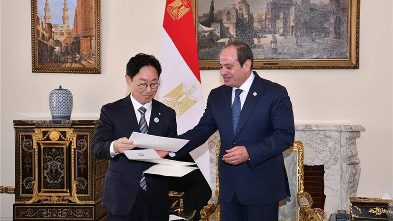 الرئيس السيسي: مسار حل الدولتين السبيل الوحيد لتحقيق السلام الدائم والاستقرار في المنطقة
