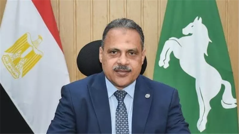 التنمية المحلية تهنئ محافظة الشرقية بعد الفوز بمسابقة التميز الإعلامي