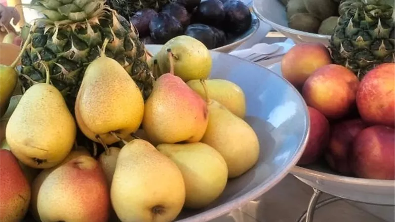 مهرجان الفواكه.. لمسة جديدة لتنشيط السياحة في الغردقة