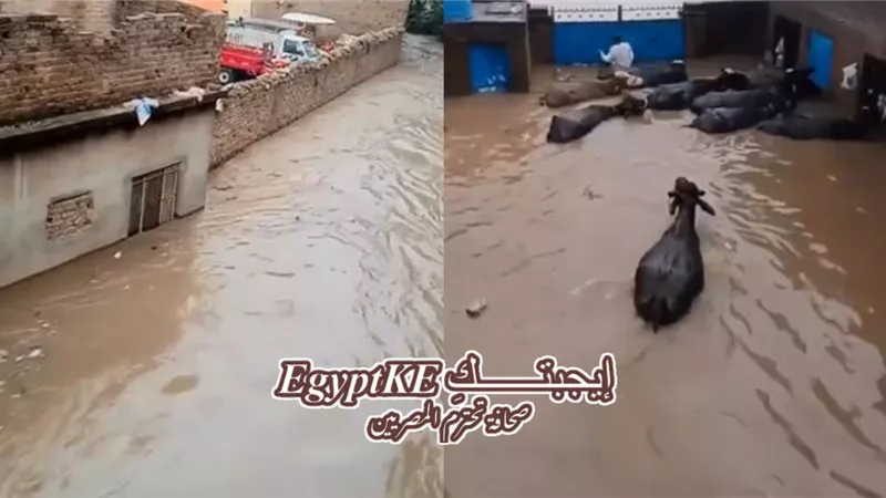 فيضانات السودان 2025: كارثة إنسانية تهدد الأمن المائي والاقتصادي وتنشر الأمراض