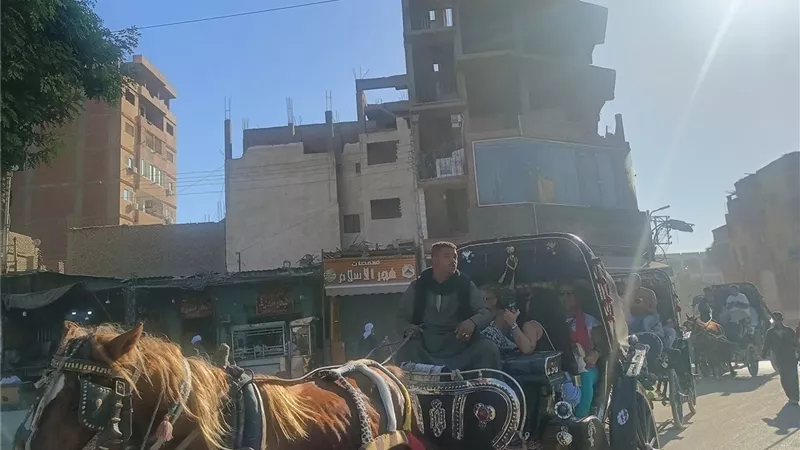 انتعاشة كبيرة في حركة السياحة بأسوان تزامناً مع بداية الموسم الشتوي