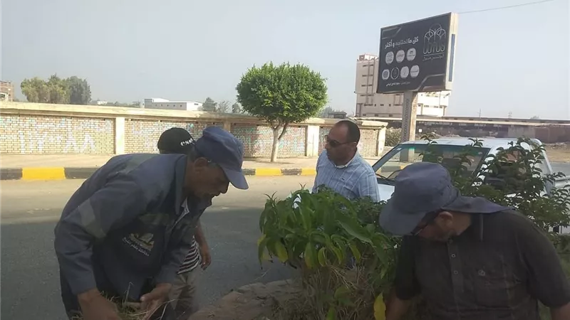  مواصلة حملات النظافة ورفع المخلفات بمركز ومدينة دسوق في كفر الشيخ