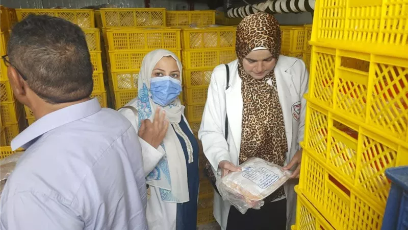  مديرية الطب البيطري بالشرقية تشن حملات مكثفة لضبط سوق اللحوم والأسماك والدواجن