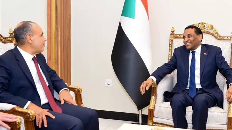 وزير الخارجية يؤكد وحدة موقف مصر والسودان بشأن الأمن المائي