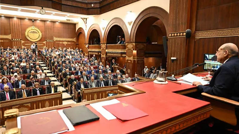 العرابي وسحر نصر أبرزهم..  وزراء سابقون ورجال أعمال ضمن المعينين في «الشيوخ»