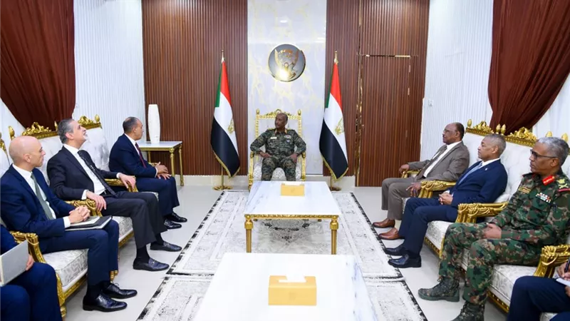 وزير الخارجية يلتقي الفريق 