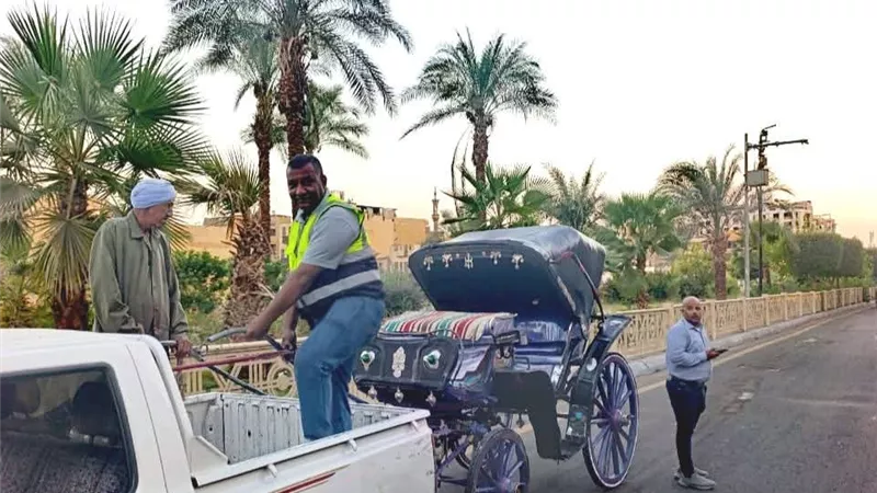 ضبط 2 عربة حنطور مخالفة خلال حملة مكبرة بمدينة الأقصر.. واستكمال رفع كفاءة المسطحات الخضراء