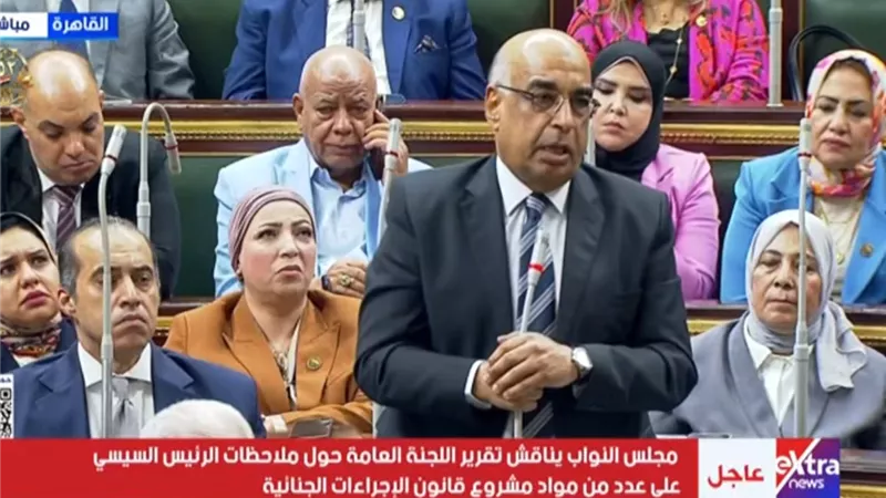 وزير العدل يثير جدلا بشأن رفض الحكومة اعتراضات السيسي على الإجراءات الجنائية