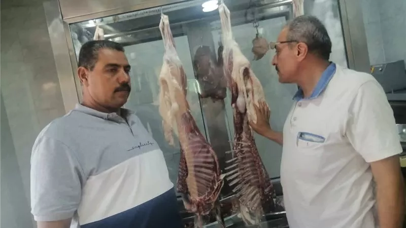 تموين الشرقية ينفذ قرارات النيابة ويضبط مخزن أدوية بدون ترخيص بالشرقية | صور
