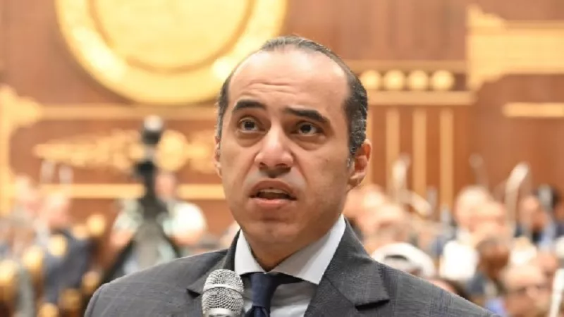 محمود فوزي: اعتراض الرئيس على قانون الإجراءات الجنائية لصالح المواطن| فيديو