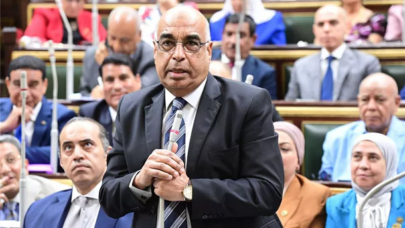 رد فعل مفاجئ لوزير العدل بشأن اعتراضات الرئيس على مواد «الإجراءات الجنائية»