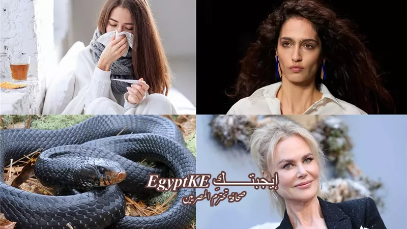 نشرة منوعات «إيجبتك».. نيكول كيدمان تتألق بعد انفصالها وعادات تمنع التعافي من الأنفلونزا