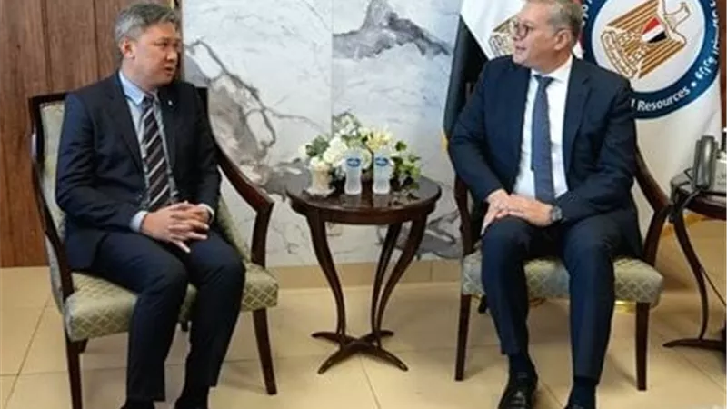 «بتروناس» الماليزية تؤكد ثقتها في مناخ الاستثمار بمصر