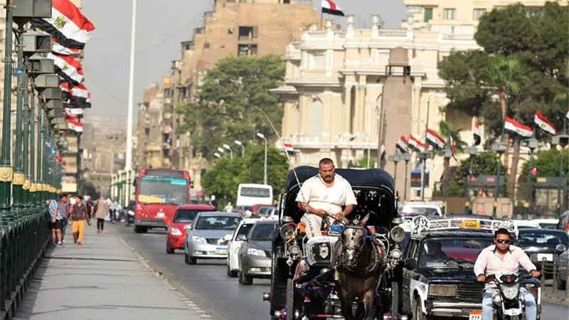 «خبراء الضرائب»: 99% من العمالة الأجنبية غير شرعية  ولا تسدد استحقاقاتها