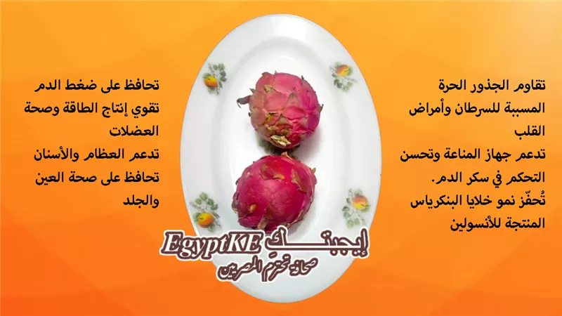 يبحث عنها المصريون: Dragon Fruit الفاكهة الخارقة وفوائدها التي أثبتها البحث العلمي