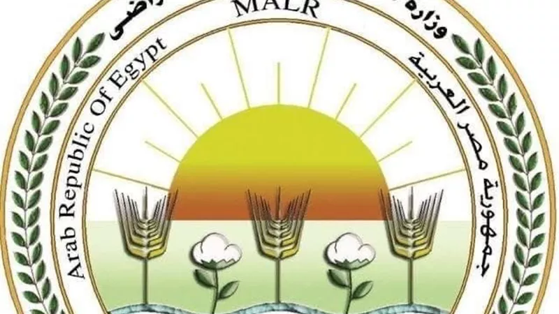 خطة وزارة الزراعة تنقذ الموسم الزراعي من تقلبات الطقس.. ونقيب الفلاحين يوضح التفاصيل| خاص