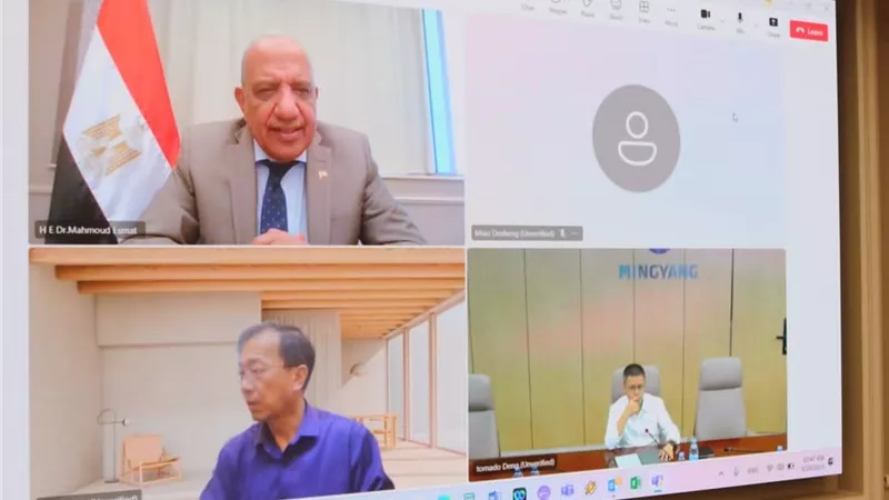 وزير الكهرباء يبحث مع مسئولي «مينج يانج الصينية» الاستثمار في الطاقة المتجددة