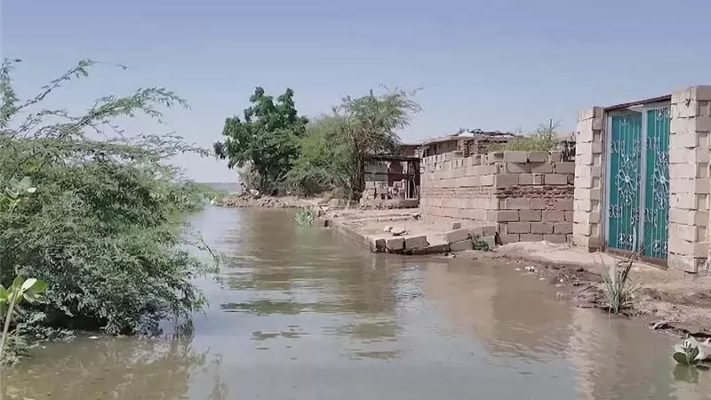 التضامن لـ