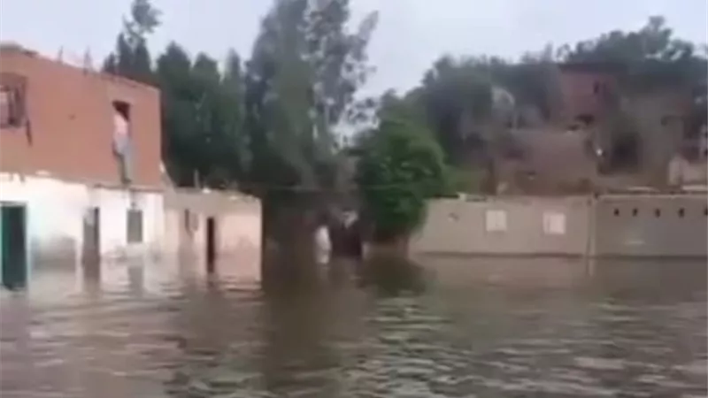 بعد غرق أراضي طرح النهر.. مخاوف من انتشار 9 أمراض معدية