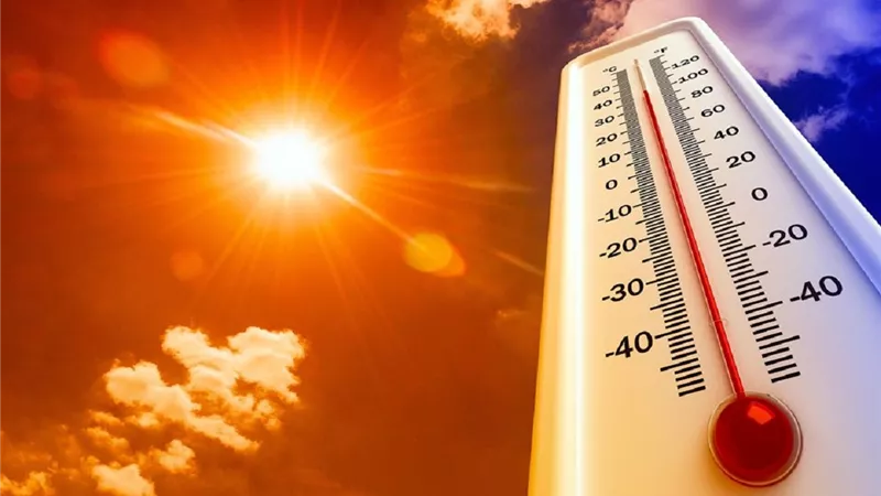 شبورة وفرص سقوط أمطار.. حالة الطقس المتوقعة غدا السبت 