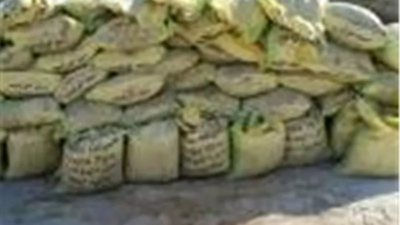 ضبط مصنعين لإنتاج أسمدة مغشوشة بدون ترخيص في القليوبية 