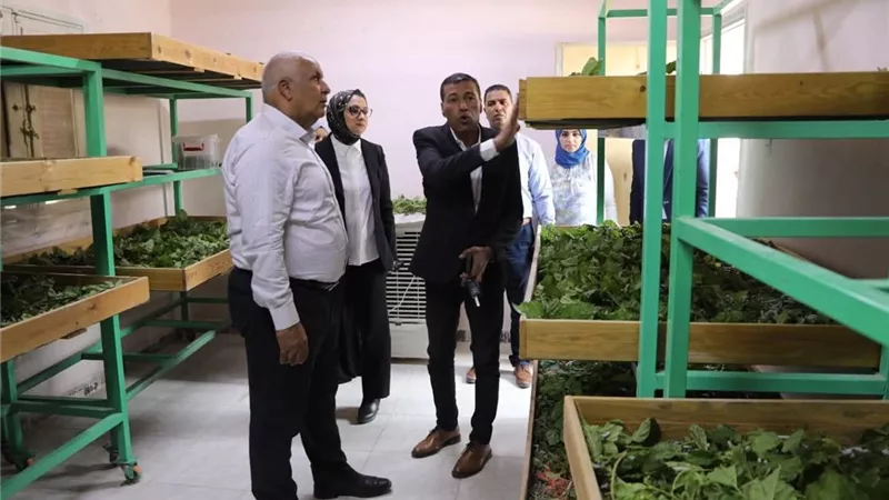 الوادي الجديد بوابة مصر لإنتاج الحرير الطبيعي .. 25 طن خلال 4 سنوات