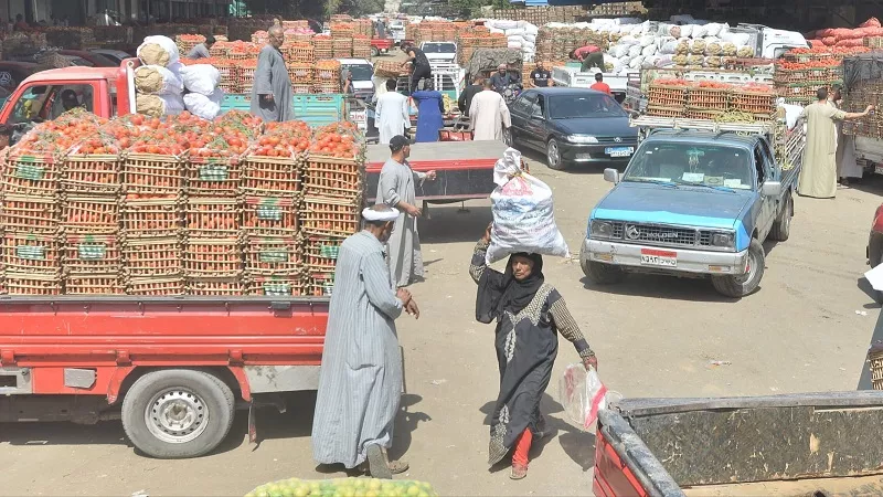 ياقوت أحمر.. «شعبة الخضراوات» تكشف أسباب ارتفاع أسعار الطماطم| فيديو