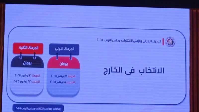 الهيئة الوطنية للانتخابات تعلن موعد انتخابات مجلس النواب 2025 للمصريين بالخارج