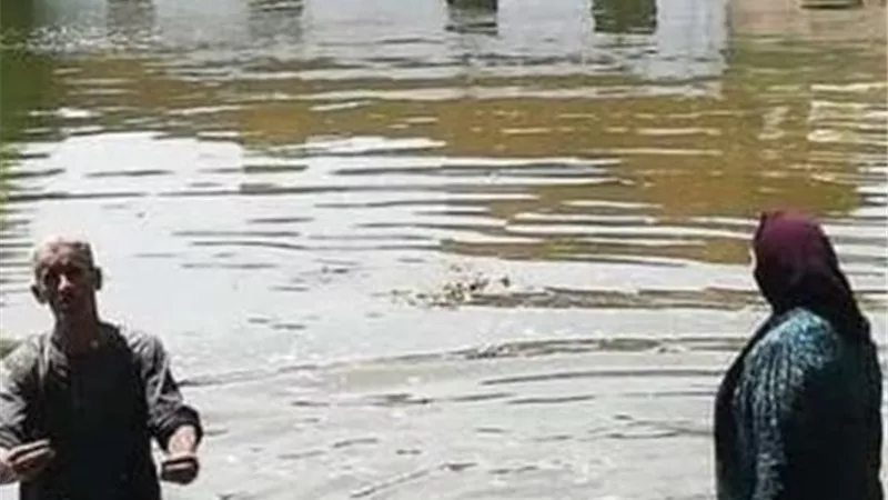 نشرة أخبار 