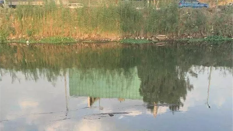 العثور على جثة مجهولة داخل ترعة مساكن السلام بطنطا