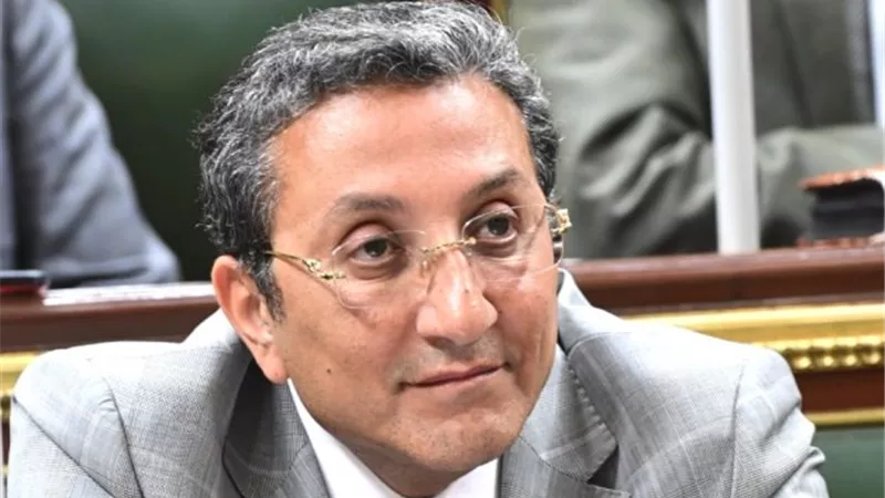 برلماني: برنامج متكامل لإدارة انتخابات النواب وجدول زمني واضح| فيديو