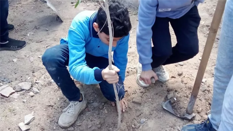 تشجير مدارس الغربية: خطة لزراعة 20 ألف شجرة لتعزيز الوعي البيئي بين الطلاب