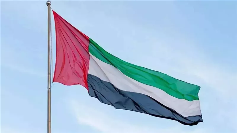 الإمارات تدين بأشد العبارات أعمال الشغب والاعتداء على سفارتها في دمشق