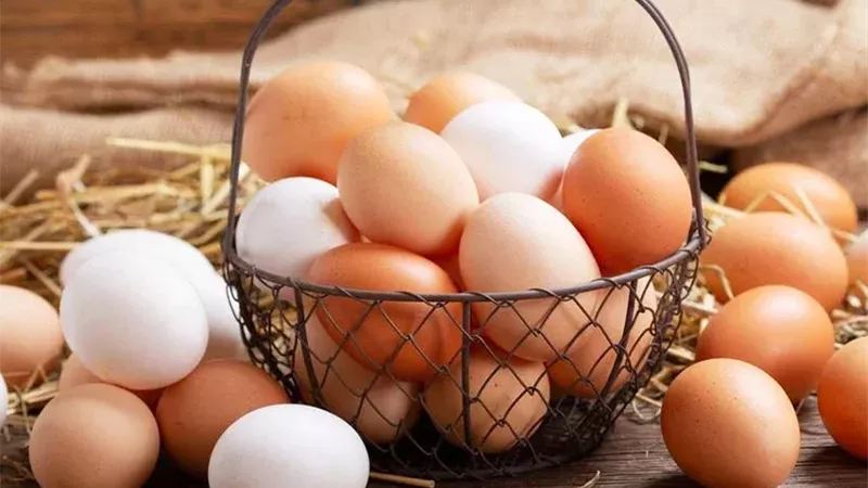 سعر كرتونة البيض الأبيض والأحمر والبلدي اليوم الثلاثاء 10-3-2026