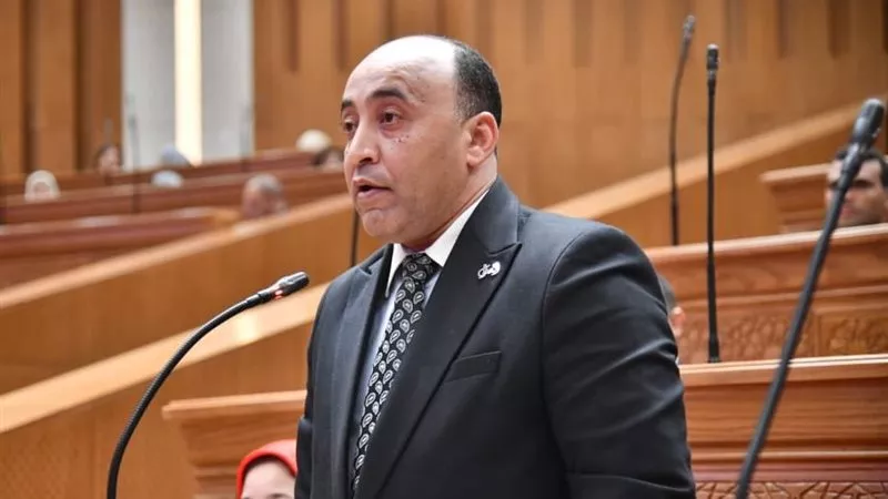 النائب حسام حسن يطالب الحكومة بتوضيح سياسات إدارة أسعار الطاقة
