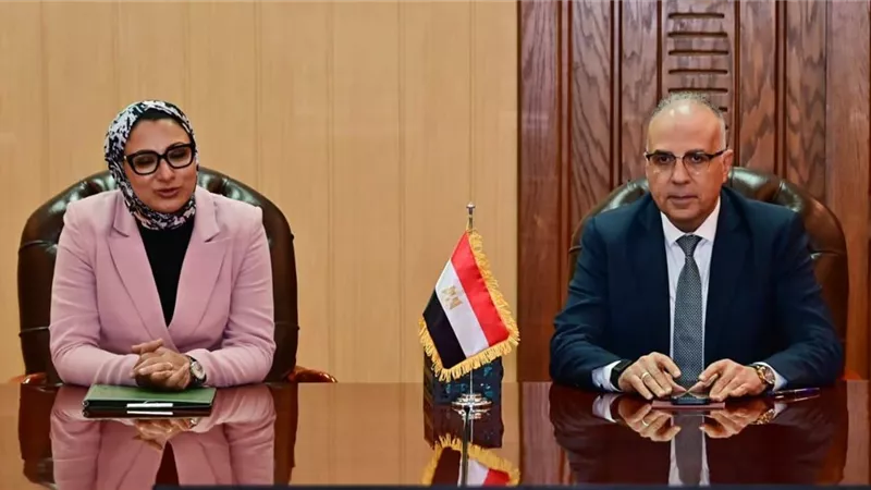 تنسيق بين الري والوادي الجديد لحماية 