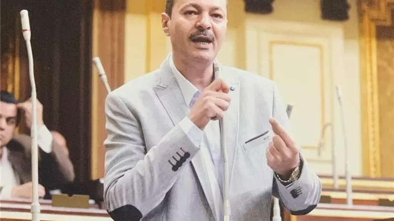 طلب إحاطة بشأن خطورة غياب الضوابط  على تداول وبيع “حبة الغلة