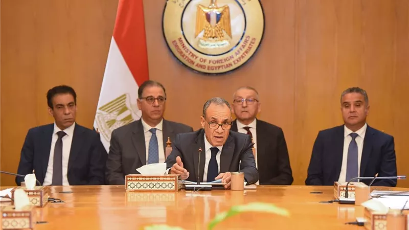 وزير الخارجية: الدولة حريصة على حل شواغل المصريين بالخارج