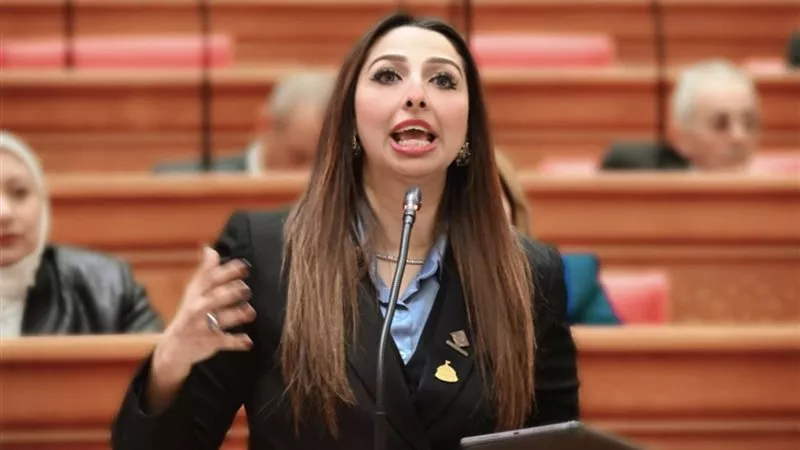 نشوى الشريف تُطالب بوجود بدائل تحل أزمة الوقود بعيداً عن «جيب» المواطن