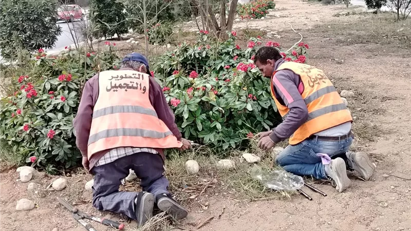 استعدادًا لعيد الفطر.. التطوير والتجميل يرفع كفاءة المسطحات بالإسماعيلية