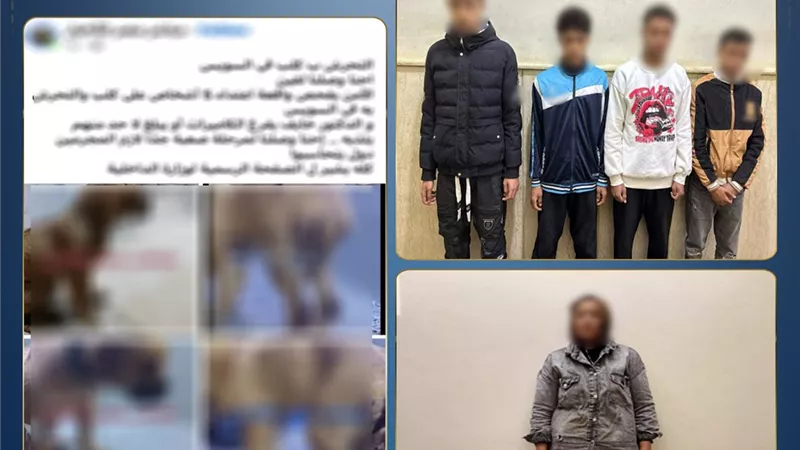 الداخلية تكشف حقيقة التعدي على كلب السويس.. وسيدة وراء اختلاق الواقعة 