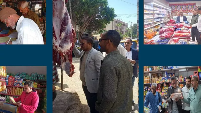 تحرير 61 محضرا خلال حملات رقابية مكثفة بـ 3 مراكز في قنا لضبط الأسواق