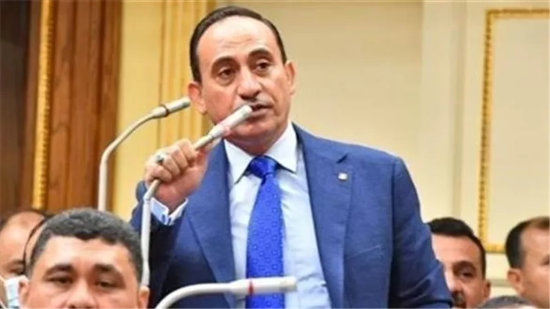 تزامنًا مع العيد.. النائب محمد زين الدين يطالب بتشديد الرقابة على الأسواق 