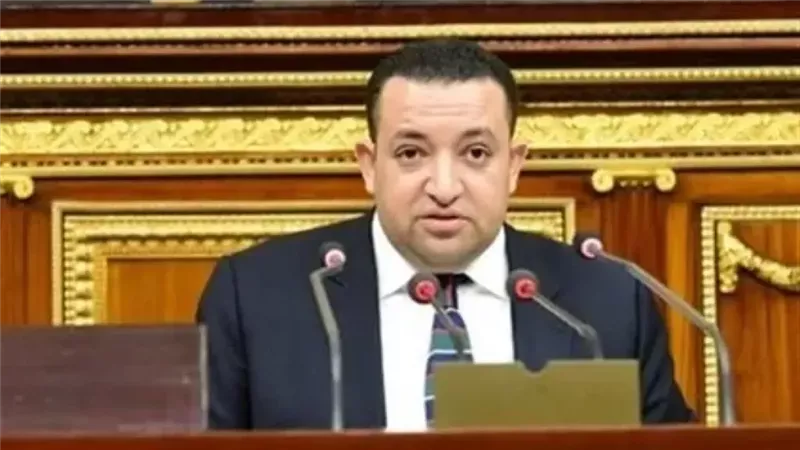 بيان عاجل بالنواب بشأن قرار رفع أسعار السولار.. الأمر يحتاج لدراسة
