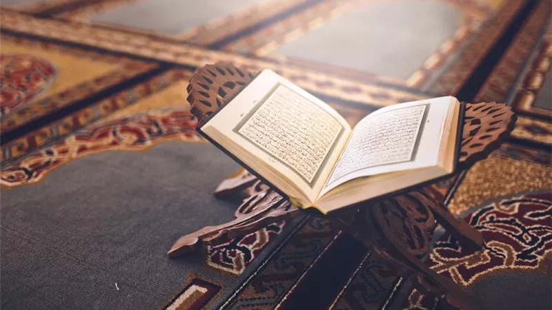 حياة حفصة بنت سيرين وحفظها القرآن منذ الطفولة.. داعية تكشف عنها