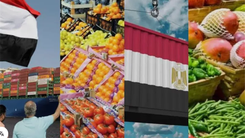 الفواكه الطازجة.. «الحصان الرابح» في سباق العملة الصعبة بمصر