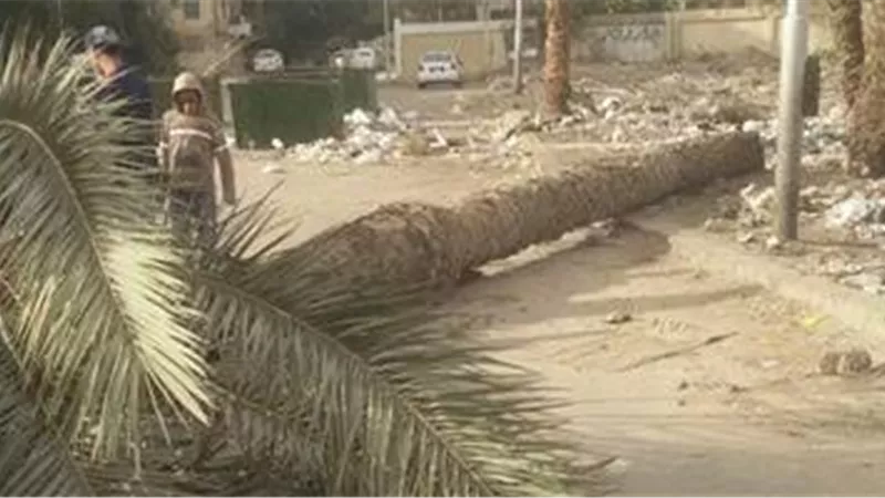 الضحية الثانية للطقس السيئ بالغربية.. 
